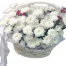 Облачный атлас
